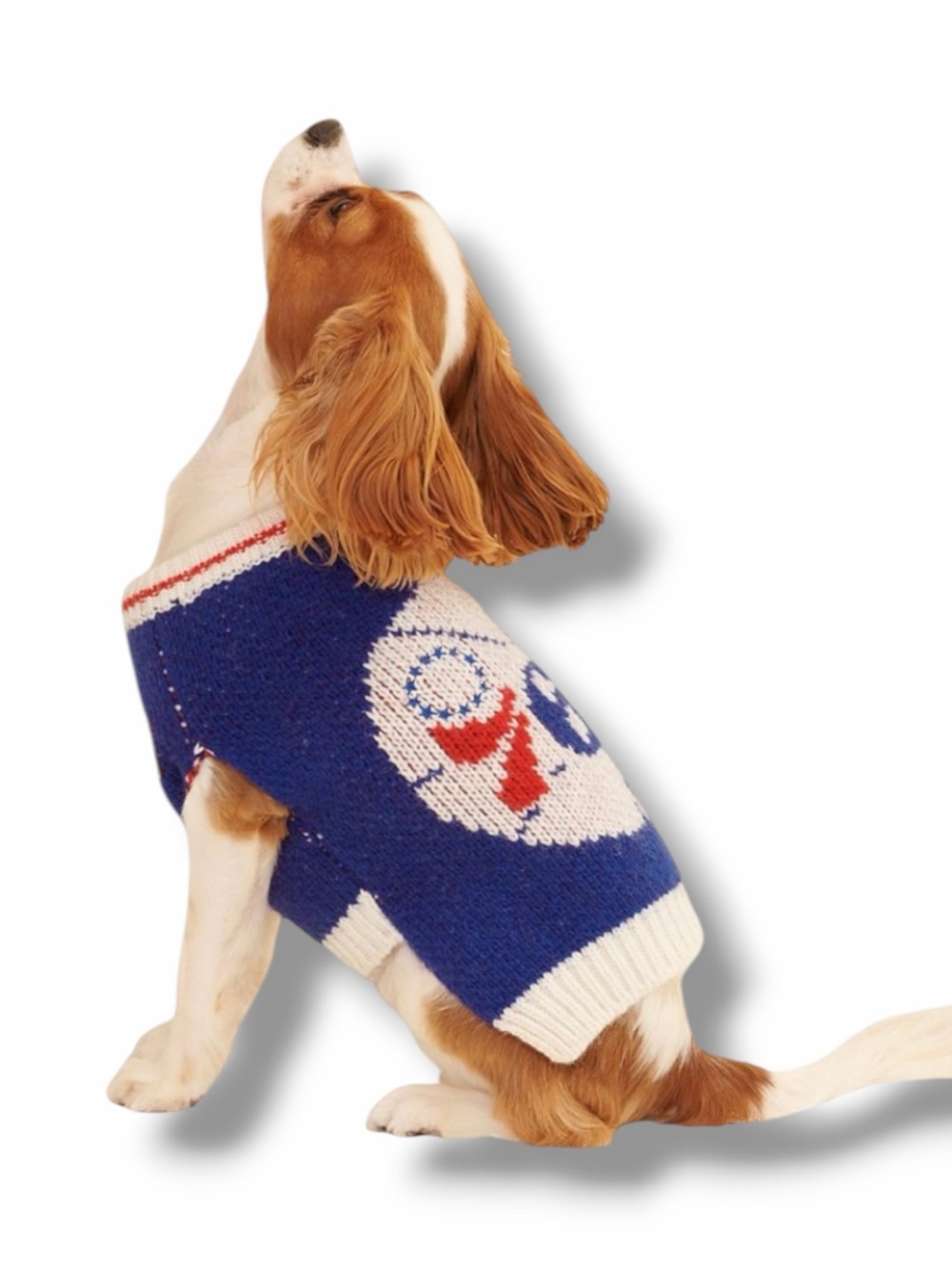 Little Beast NBA Philadelphia Sixers Dog Sweater